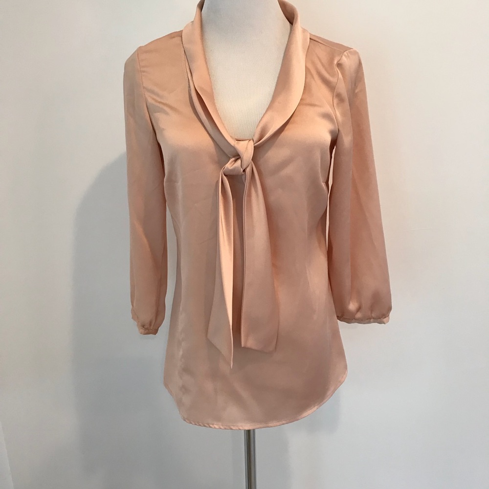 Blush Tie Neck Blouse - The Limited